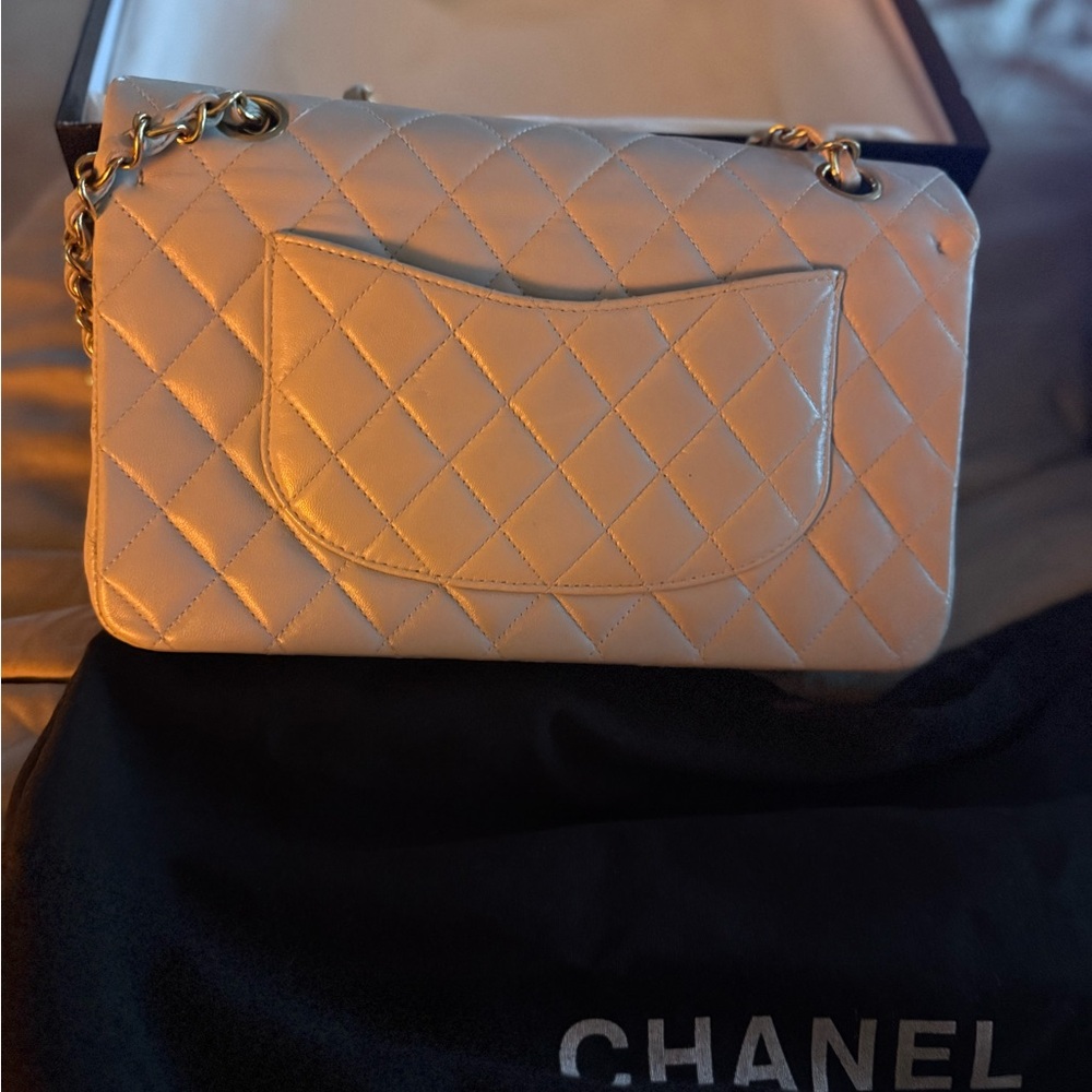 Chanel Baby Blue Quilted Bag - Picture 8 of 13